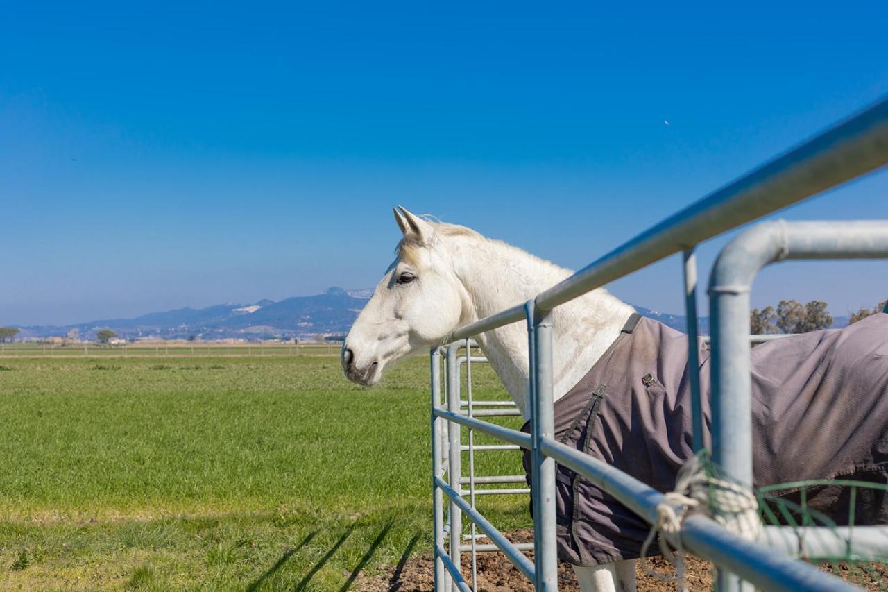 Agriturismo Gli Etruschi Populonia Dış mekan fotoğraf