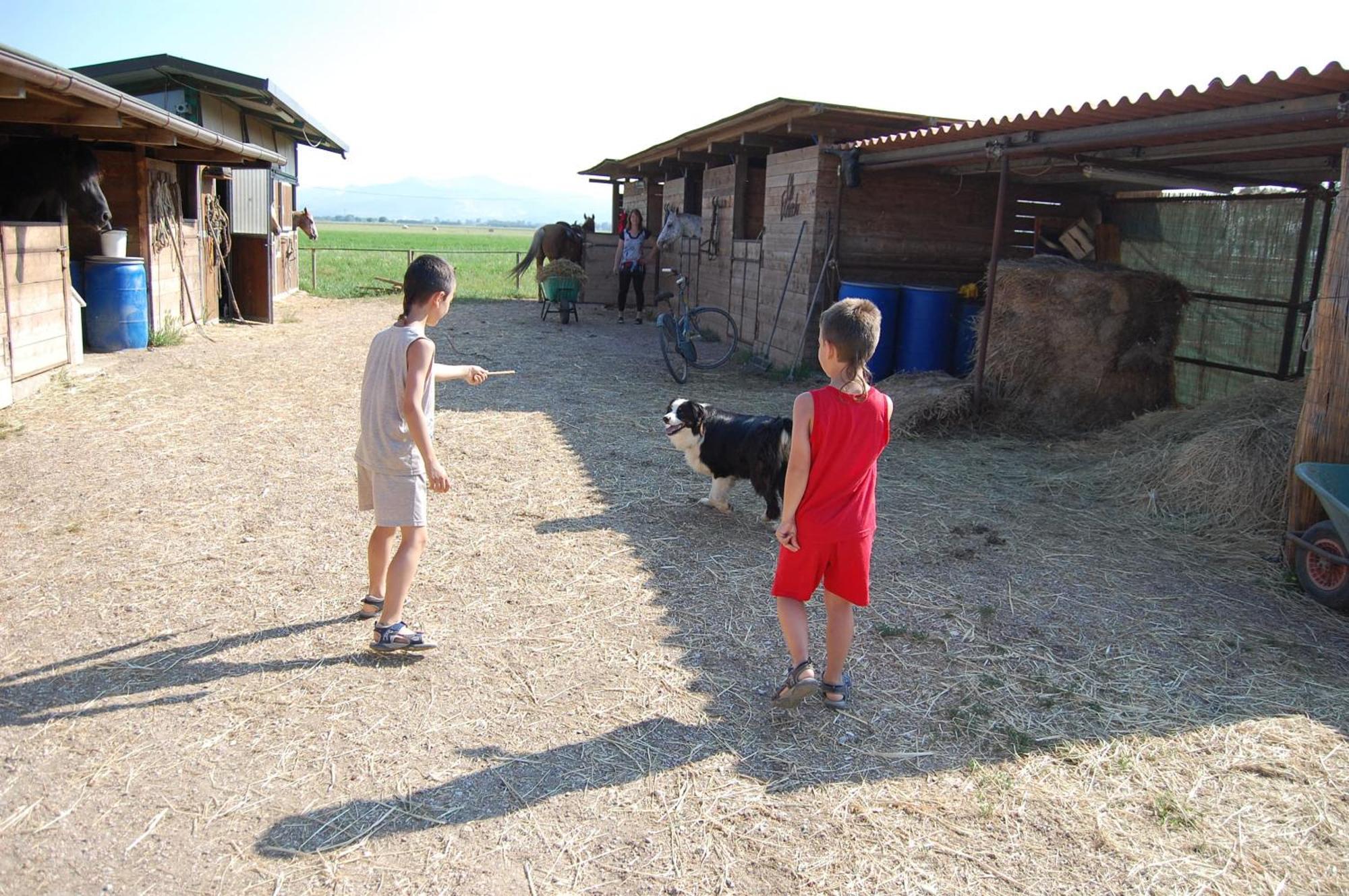 Agriturismo Gli Etruschi Populonia Dış mekan fotoğraf