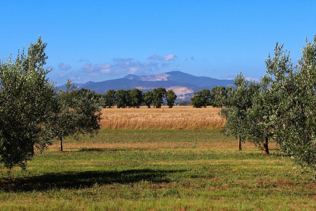 Agriturismo Gli Etruschi Populonia Dış mekan fotoğraf